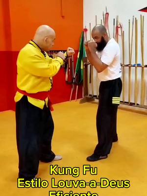 A post by @tskfkungfu on TikTok caption: #tskf #kungfu #wushu #artemarcial #artesmarciais #defesapessoal #shaolin #chikung