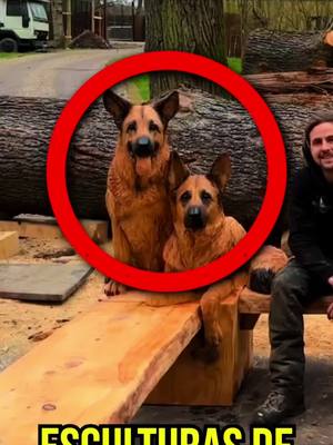 A post by @elduoantonyysanti on TikTok caption: LE HARÍAS ALGO ASI A TU PERRITO? #curiosidades #mundocurioso #viral_video #datoscuriosos #humor #curiososdatos