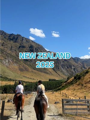 A post by @thisisamybethmcnulty on TikTok caption: #newzealand a little bit of van life never hurts… LOVE YOU GUYS!!! Xx