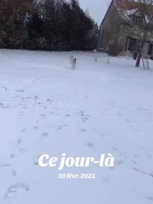 A post by @phaloukruby on TikTok caption: #cejour-là