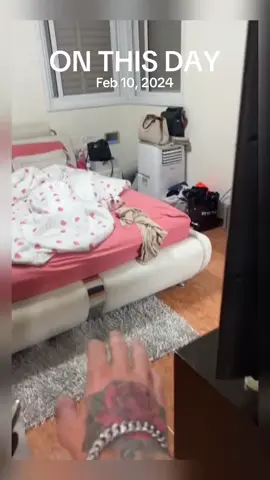 A post by @animal.reunion on TikTok caption: #onthisday