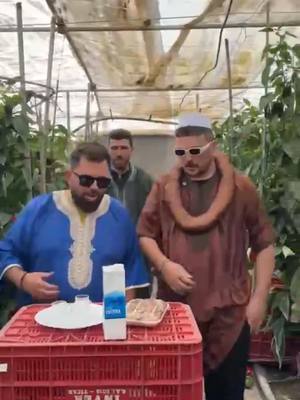 A post by @mohamedassemtiktok on TikTok caption: Juan quiere vender las finca a @Truco Rumano Oficial #españa #marruecos #juanymohamed #cosasquepasan #lasnorias #berja #vicar #mojonera #viraltikto #viralvideo #fyp #agricultura #almeria #trucomarroqui #trucorumano #pimiento #r#rumania #españa🇪🇸 #rumanian🇷🇴 #agro @Juan TikTok 