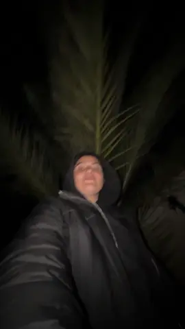 A post by @wizard_bisan1 on TikTok caption: Updates from turtle island and 🍉