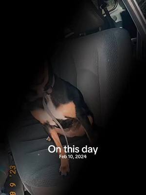 A post by @pacman_free on TikTok caption: #onthisday 