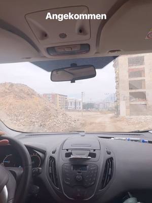 A post by @phia_quantius on TikTok caption: Türkei mit @Notpfote #AnimalRescue 🤍