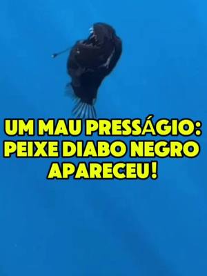 A post by @motivados_a_vencer on TikTok caption: Peixe Diabo Negro: Um mau presságio! #peixediabonegro  #peixeremo  #catastrofes  #fimdomundo  #fimdostempos 