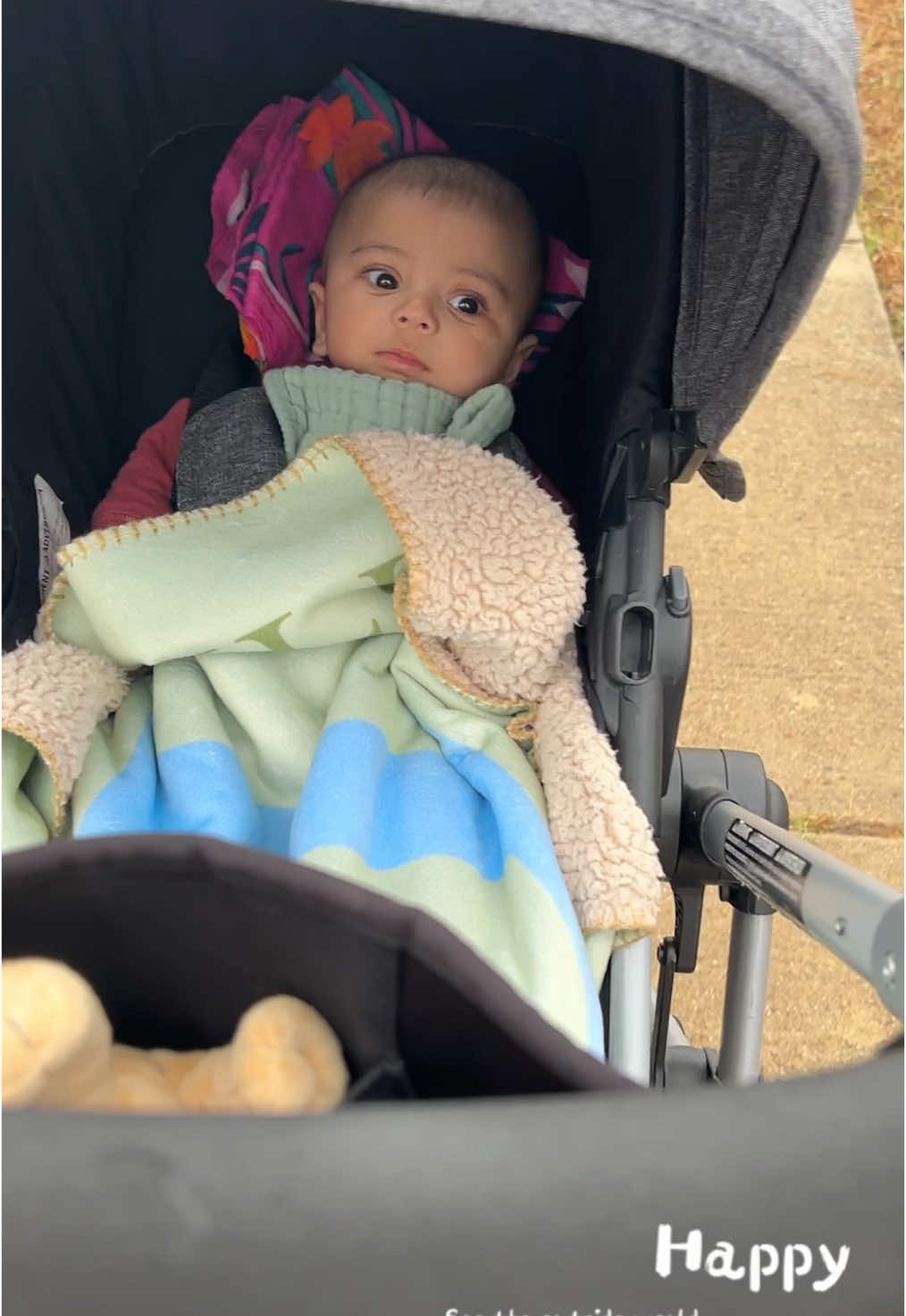 A post by @ on TikTok caption: Super gloomy outside but thankfully we have furry siblings to walk with! ♥️🐾🐾 #tuesday #gloomy #cloudy #dog #dogsoftiktok #baby #siblings 