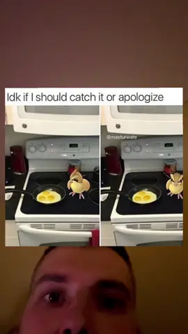 A post by @ on TikTok caption: 🥲#pokemon 