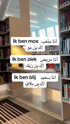 A post by @raymonddillmanalv on TikTok caption: #تعليم_اللغة_الهولندية #للمبتدئين #نتعلم_معاً #كل_يوم_جملة #الشعب_الصيني_ماله_حل😂😂 #اكسبلور 
