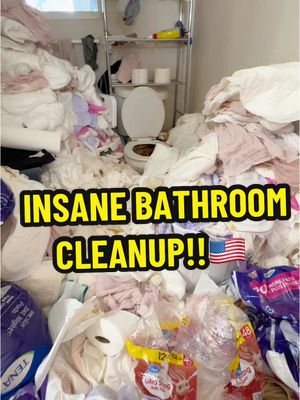 A post by @aurikatariina on TikTok caption: Texas bathrooms: BIGGER AND MESSIER!!! Living My Dream!!! 🤩🇺🇸 #livingmybestlife #deepcleaning #housecleaning #cleaningtiktok #cleaningmotivation 