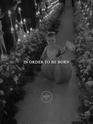 A post by @thequotecircle on TikTok caption: We are the result of thousands of lives before us. #generations #inspiring 