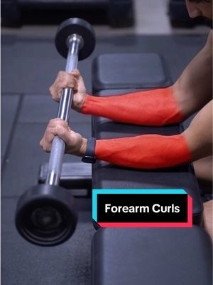 A post by @hazzytrainer on TikTok caption: Carve your Body with Forearm Curls ⚠️ . Here are 2 variations of Forearms Curls you want to be aware of. 🔥 When performing Forearm Curls with your Wrists Supinated this will emphasize your Inner Forearms. ✅ However, when performing Reverse Forearm Curls this will emphasize your Outer Forearms. ✅ Save this for next time your Build Forearms like Popeyes. 🔥 Keep crushing it saiyans. . #forearms #arms #armworkout 