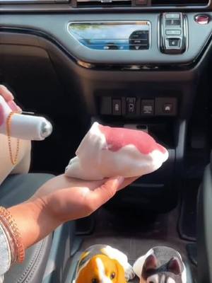 A post by @goodiesarehere on TikTok caption: This #wagging dog ornament is so cute and adorable, it's so adorable in the car and at home #wagging dog ornament #car ornament #wagging dog car ornament #car goodies #auto stuff #this is so cute too 