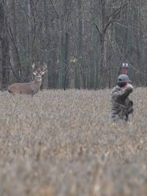 A post by @bowhuntbros on TikTok caption: Stalk Hunt🏹 . #bowhuntbros #bowhunt #bowhunting #bowhunter #archery #usa #Outdoors ( Via: @druryoutdoors )