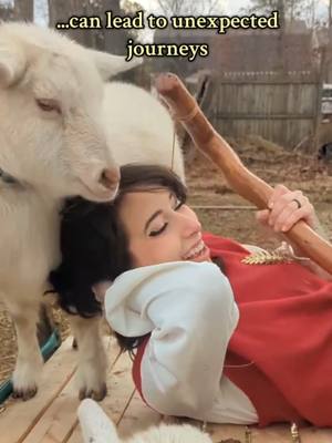 A post by @goforthegoat on TikTok caption: My goats "helping" me film a promo for Shiretown: The Shindig! Sorry in advance for the halfling content, I'm just really excited for this LARP 🫣 I can't wait to be transported into a weekend of food, friends, and festivities as my halfling Hennessy Higgleby, hot mess homesteader of the Higgleby family  Bring on ALL the breakfasts! 🥓 🍳 #shiretown #shiretownshindig #hobbit #fantasy #LARP 