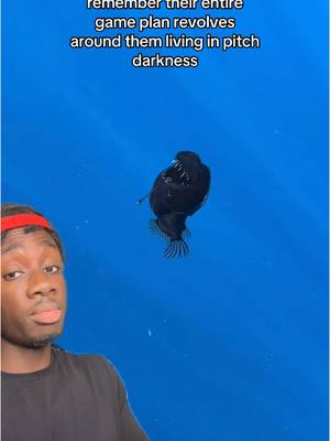 A post by @mndiaye_97 on TikTok caption: Are we cooked? #marine#anglerfish#nature