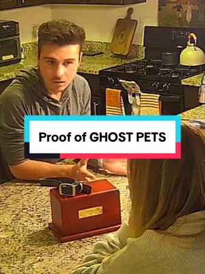 A post by @thebrandonrobert on TikTok caption: We didn’t notice the cat towel moving until after. Our ghost #ethel confirms our pet is still with us . #homecamera  #cat #dog #pet 