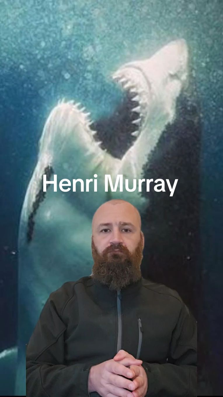 A post by @thewanderingbeard2.0 on TikTok caption: In 2005, 2 men would face the ultimate nightmare while spearfishing in False Bay in South Africa. Im back folks!Thanks for all the love and support during my absence, still recovering but getting better every day. much love! #shark #true #truecrime  #CapCut #greatwhiteshark #spearfish #ocean #horror #animal #attack #fishing #henri 