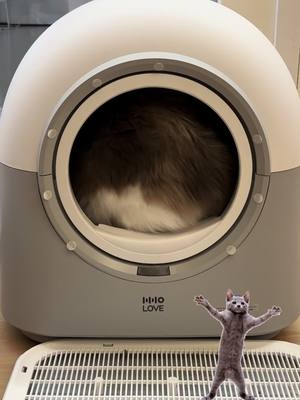 A post by @hholove_global on TikTok caption: Is This a Washing Machine… ? 🐾🌀 #petproduct #catproduct #cats #petproducts #catproducts #HHOLOVE #LitterBox #CatsofInstagram #pets #catcare #catreel #catlover #funny #purr #meowmeow