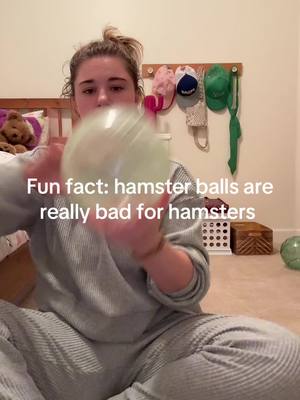 A post by @laurskiiiii on TikTok caption: Don’t use them 😡 #hamster #hamstersoftiktok #pet #PetsOfTikTok #mouse #tica #hamsterball #ball #fyp #fypシ 