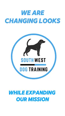 A post by @southwestdogtraining on TikTok caption: Hate to sound cliché but we got big things coming!! Hop along for the ride! #rebrand