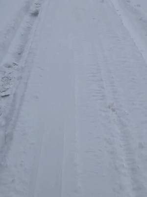 A post by @annlouness on TikTok caption: weather's like ...😅😜😅#snowstorm #canada_life🇨🇦 #foryoupage #Teamtinga #mildred57 