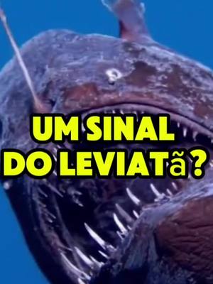 A post by @motivados_a_vencer on TikTok caption: Peixe Diabo Negro: Um sinal do Leviatã? #peixediabonegro #leviatã  #fimdomundo  #fimdostempos  #apocalipse  #catastrofes  #profecias 