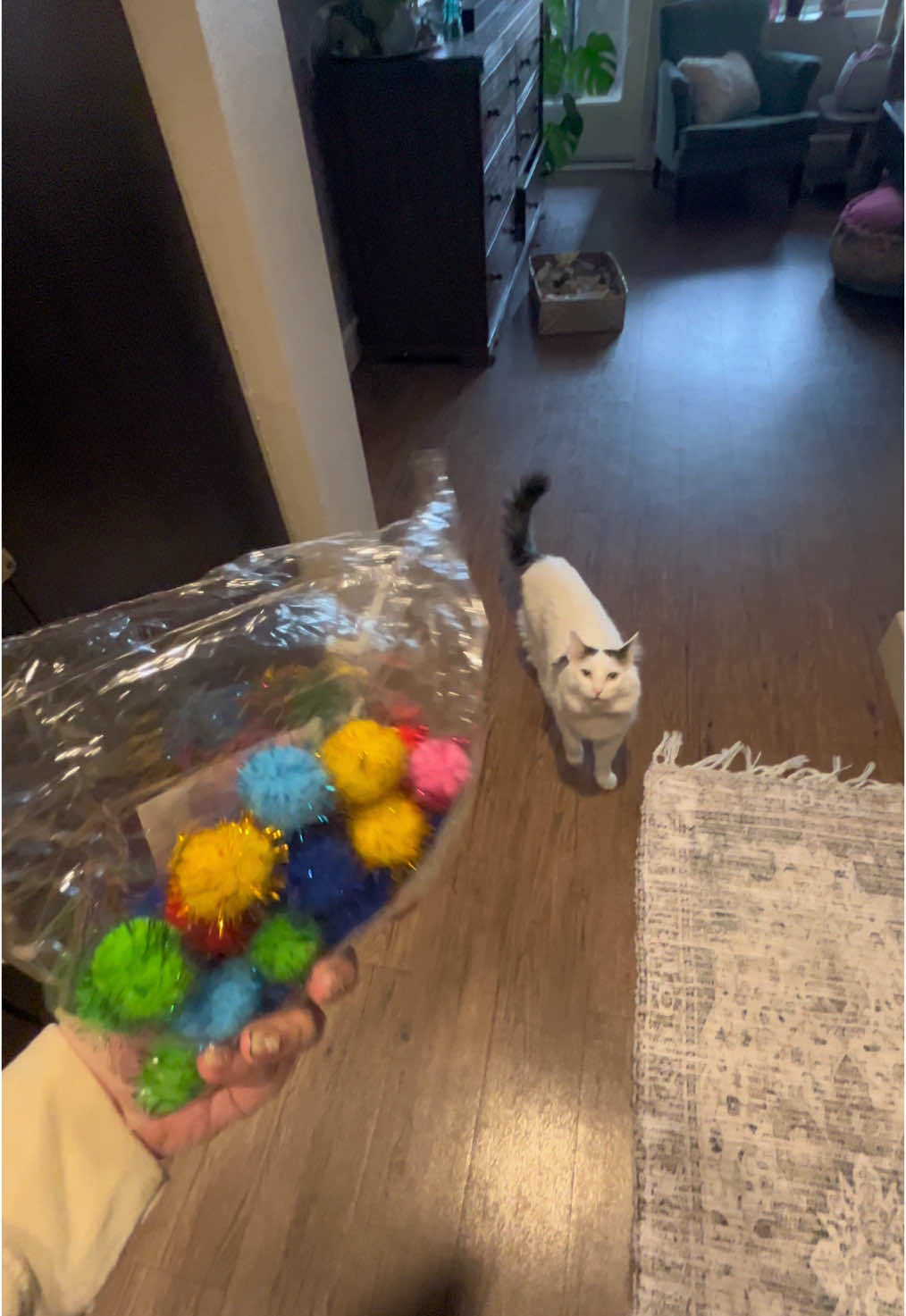 A post by @rileylorraine_ on TikTok caption: Well…. That was anti climatic 