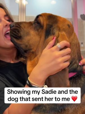 A post by @lilliuzivertt on TikTok caption: Both my soul dogs ❤️ sorry so sappy 