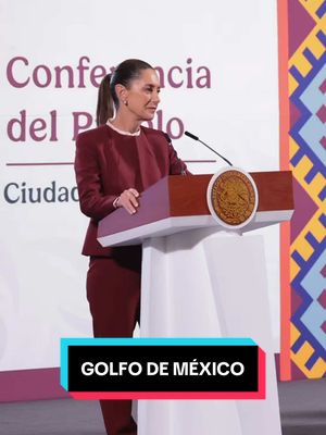 A post by @claudiasheinbaum on TikTok caption: Es importante que las empresas dedicadas a la información revisen el decreto del gobierno de Estados Unidos y las normas internacionales sobre el nombre del golfo de México. #mañanera #PresidentA #fyp 