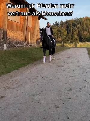 A post by @spickiee on TikTok caption: So war es schon immer und so wird es bleiben weil Tiere die besseren Menschen sind  💖  #equestrian #horselove #soulhorse #spickiee