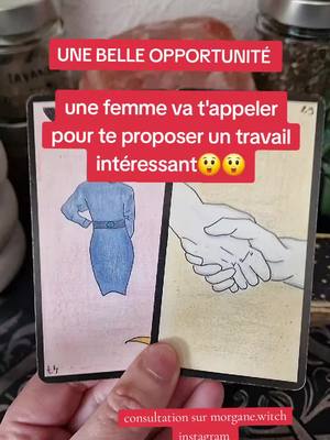 A post by @morgane_voyance on TikTok caption: une opportunité arrive pour toi #tirageamour #tiragedecartesoracle #tiragedecarte #cartomancie #medium 