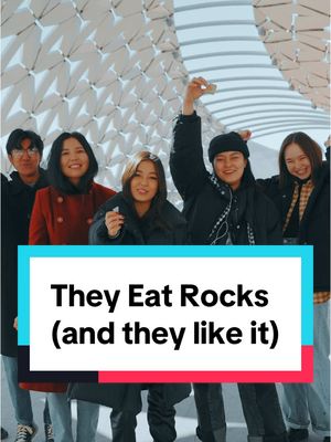 A post by @nasdaily on TikTok caption: They Eat Rocks (and they like it) Yes, they eat rocks and they like it!  So we flew all the way around the world just to find out why? Thank you for sharing this story.  @Sustentófila 
