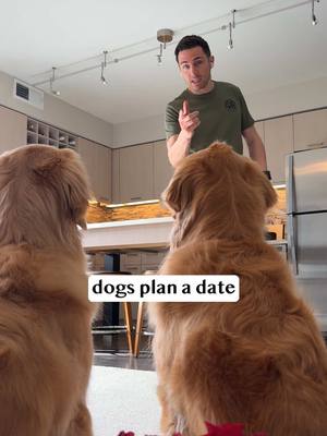 A post by @elliegoldenlife on TikTok caption: Love was in the air… and so was something else. Turns out, planning the perfect date night doesn’t include a breath check. Luckily, @pethonesty dental powder saved the day!  Just simply sprinkle on your dog’s food to help freshen breath, fight plaque & tartar, and support healthy teeth. Don’t let bad breath be the third wheel! Shop @Pet Honesty products in my TikTok Shop! P.S. I think Bulleit deserves an Oscar for best-supporting actor #pethonestypartner #dog #date #goldenretrieverlife #gsd #smile #bffs