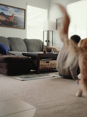 A post by @adventuringwithnala on TikTok caption: Dogs are the best Valentines 🥰
