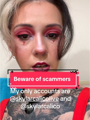 A post by @skylarcalico on TikTok caption: Going no contact is never easy, especially when you are known on the internet. #catfish #nocontact #family #scammer 