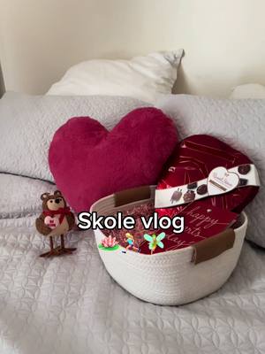 A post by @frida.leonore on TikTok caption: Highlight for uka det her^🥹❤️‍🩹 #valentine #Vlog 