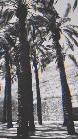 A post by @boudhanedz on TikTok caption: #fyp #اكسبلور #expolr #الشعب_الصيني_ماله_حل #الرياض #الدول_العربيه #تيك_توك #جده #مكه #العالم_الاسلامي #قصص_قصيرة #قصص_دينية_قصيرة #دروس_قصيرة #العلم_النافع 