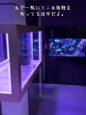 A post by @aquarium_art_design on TikTok caption: 楽しみにしてくれてる人ってどれくらいいるんかな？🐠🪸 早く完成させたいな😊🪸 #アクアリウム #サンゴ水槽 #海水魚飼育 #癒やし空間 #癒し