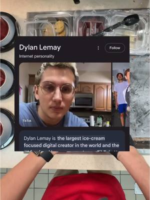 A post by @dylanlemay on TikTok caption: #googleimages 