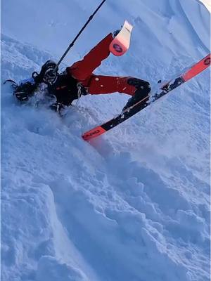 A post by @mathis_dumas on TikTok caption: @Michou et @Piwerre font quelques roulades dans la neige ⛷️❄️🏔️  Check la vidéo sur YouTube 🔥 #chamonix #thenorthface #freeride #alpes #michou #elsa #poudreuse 