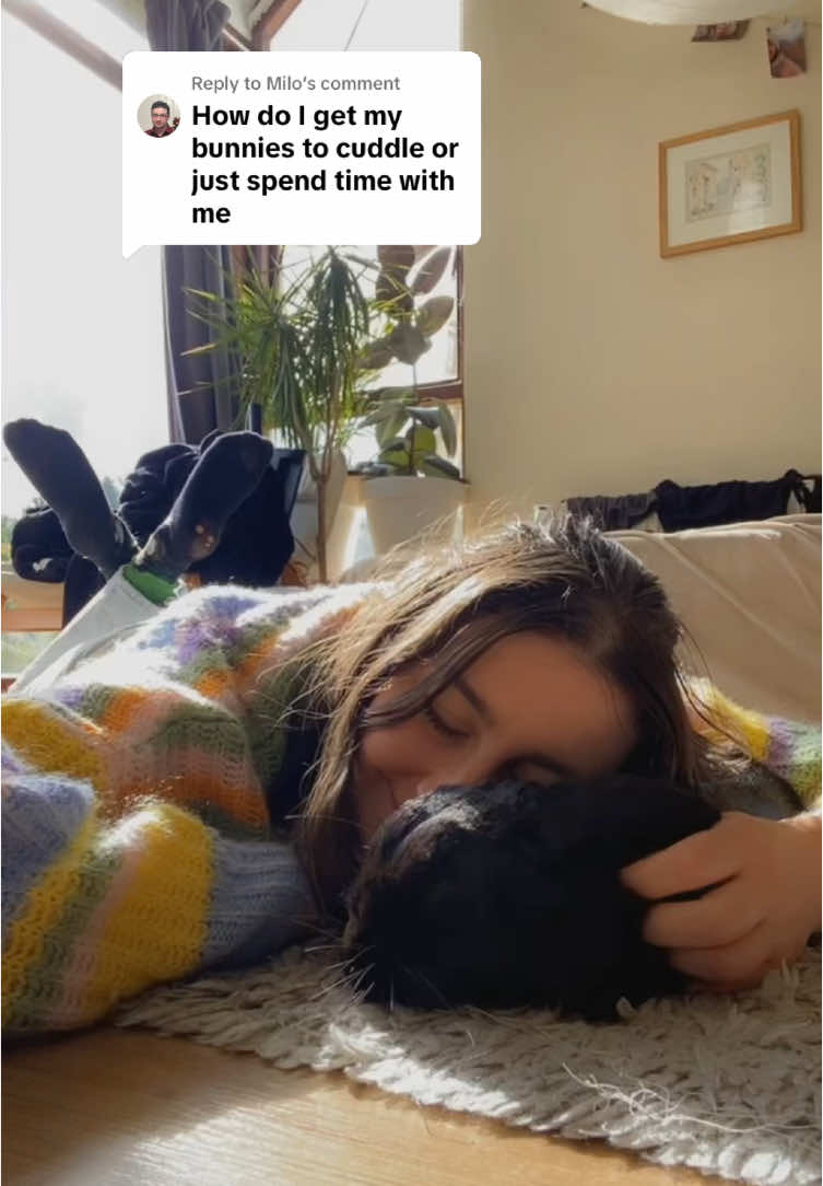 A post by @hazelnut_the_bunny on TikTok caption: Replying to @Milo These are some ways I got hazel to trust me! #bunnycaretips 