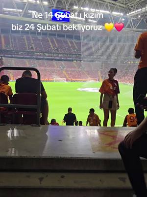 A post by @6868aksarayli6868 on TikTok caption: #şampiyon #lider #viral_video #öneal #ultraslan #💛 #❤️ #istanbul🇹🇷 #galatasaray #Kral #ramspark #alisamiyen 