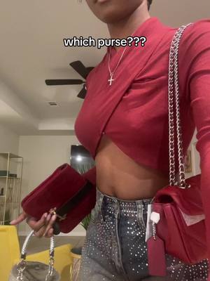 A post by @kuwthetwins on TikTok caption: Which purse??? #fyp 