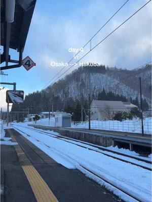 A post by @stacyceja on TikTok caption: Time to snowboard 🏂🏂 #fyp #hakuba 