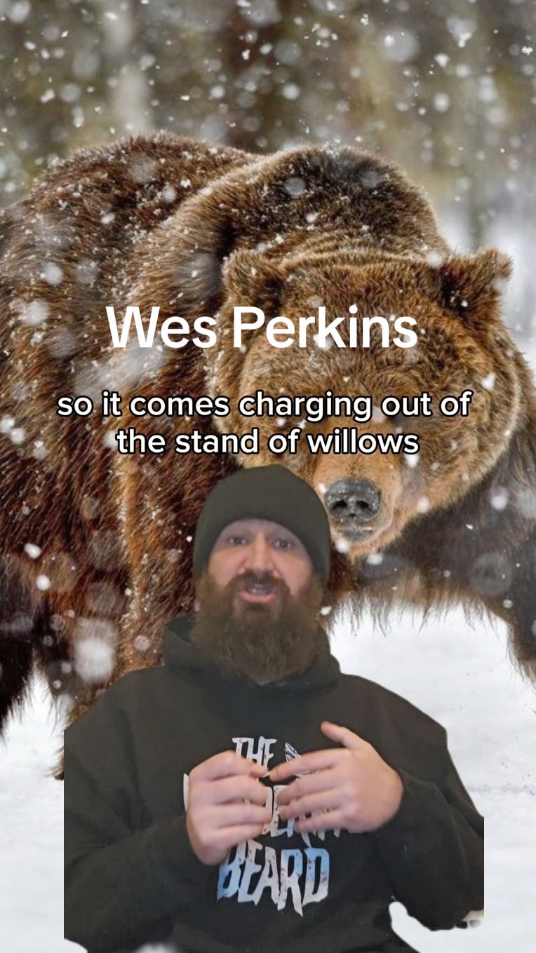 A post by @thewanderingbeard2.0 on TikTok caption: In 2011, 3 friends were hunting in Alaska when they suddenly found the roles reversed on them. #truestory #truecrime #animal #attack #horror #hunting #wesperkins #alaska #CapCut 