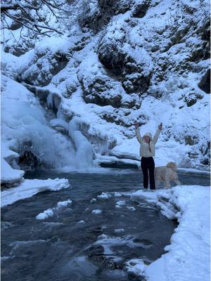 A post by @emily_holler on TikTok caption: Thunderbird Falls is such a pretty hike in the winter 🥾❄️🌲 tag me if you check it out :) #relatable #fyp #alaska #alaskalife #hikingszn #hikingadventures #hikingtiktok #Outdoors #outdoorlife #winter #waterfall #waterfalls 