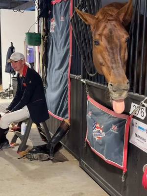 A post by @joe_stockdale on TikTok caption: Can you count how many times EBay licks his lips 👅😂 #joestockdale #Jumping #showjumping #teamstockdale #Equestrian #funny 