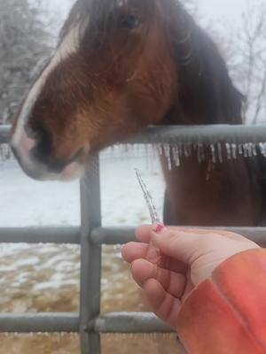 A post by @brandyland93 on TikTok caption: Trying to make a Thestral