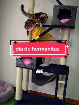 A post by @tommyelgatomono on TikTok caption: En el capítulo de hoy: Happy y karencita comparten como hermanitas aunque tienen una que otra diferencia jeje  #gatos #gato #michis #gatos 